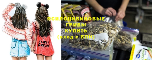 дурь Балахна